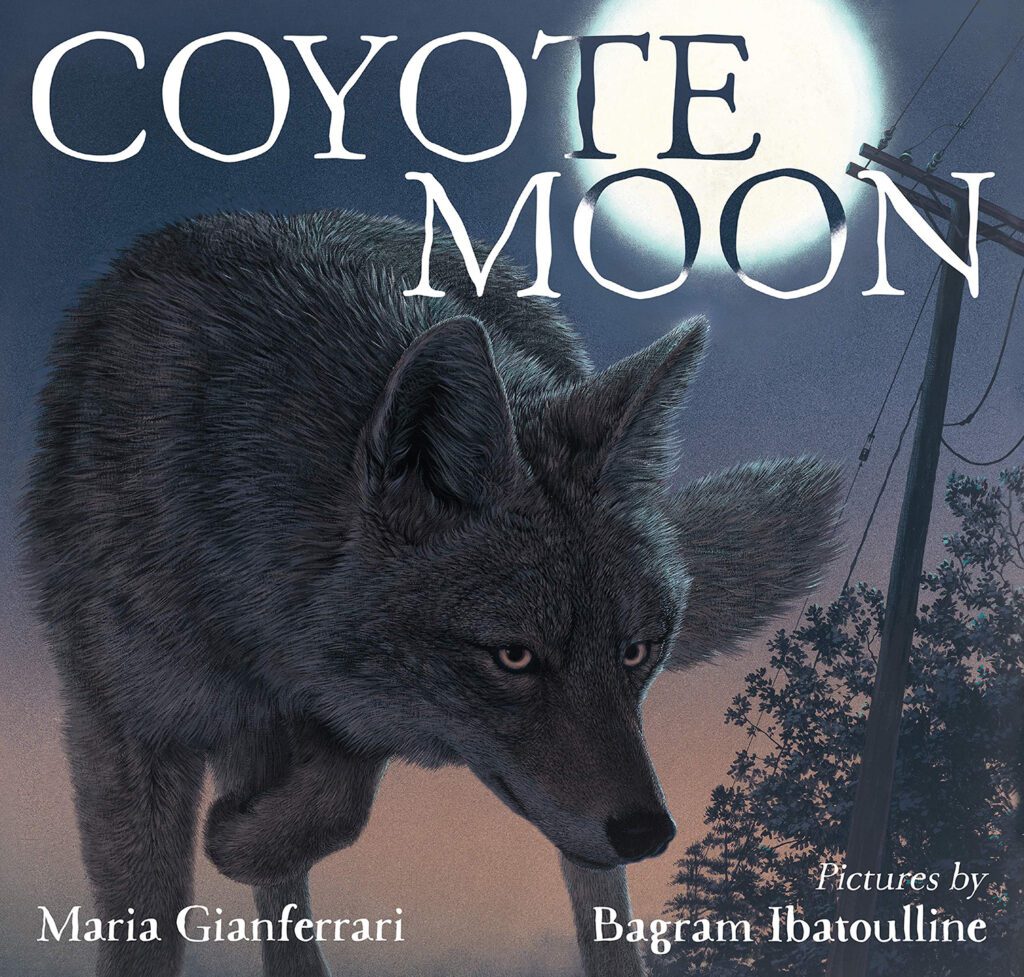 coyotemoon