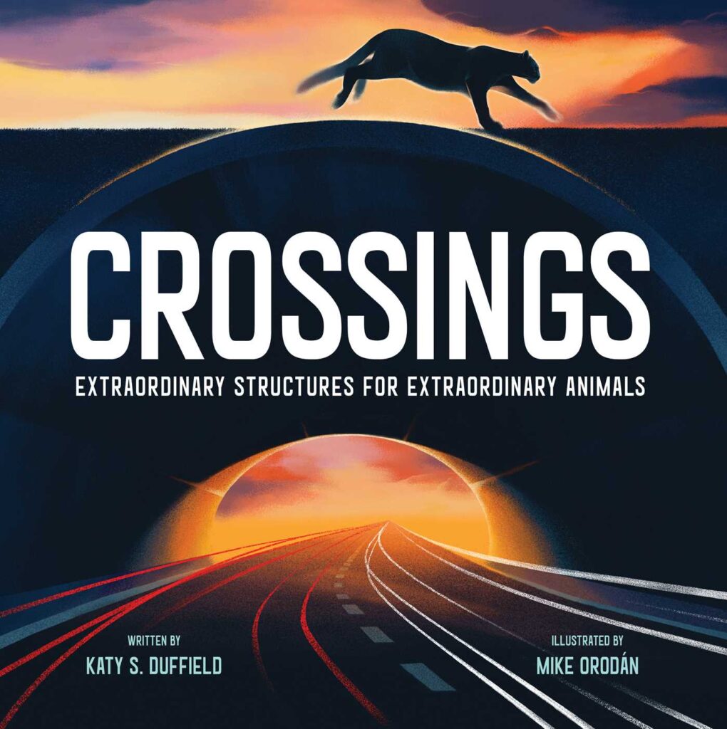 crossings